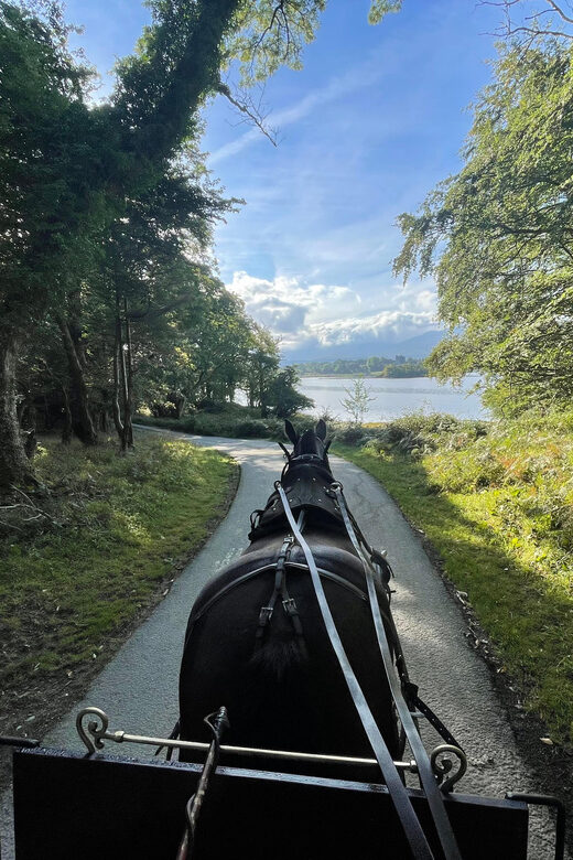 Killarney Carriage Tours National Park and Lakes - Ross Castle Photo Time: A Landmark You’ll Actually Feel
