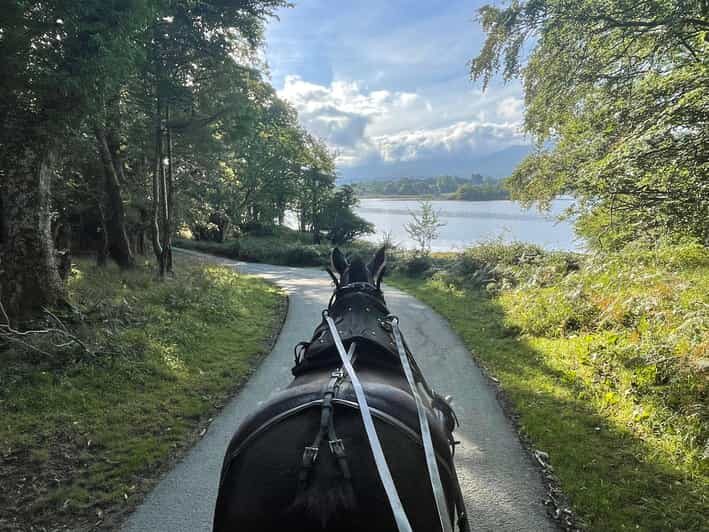 Killarney Carriage Tours National Park and Lakes - Price and Value: What $40 Gets You on This Private Ride