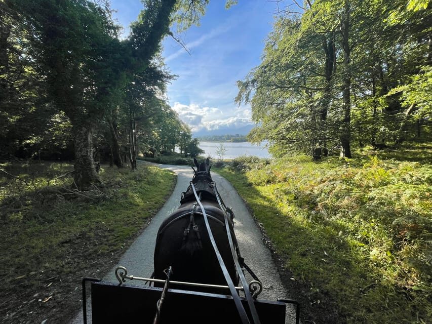 Killarney Carriage Tours National Park and Lakes - Practical Tips for a Better Ride and Better Photos