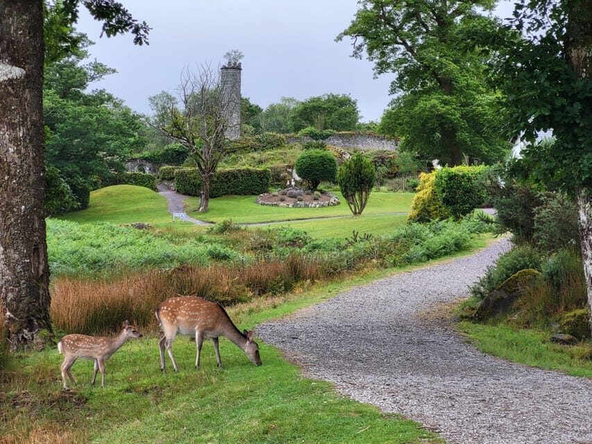 Killarney: Gap of Dunloe Day Tour - What to bring: small items that prevent a bad day