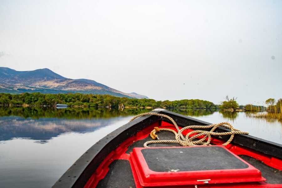 Killarney: Guided Boat Tour to Innisfallen Island - Key highlights that make this tour worth your hour