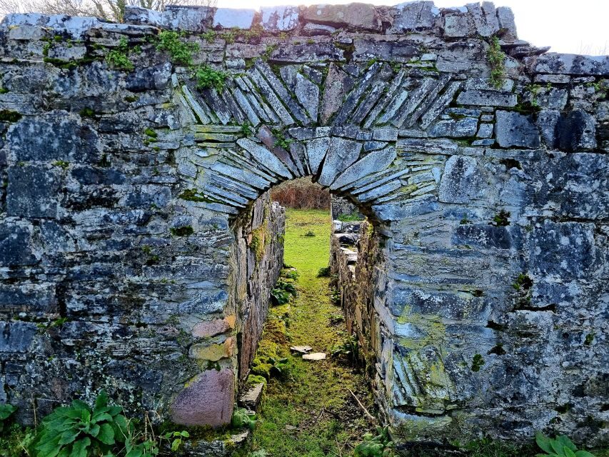 Killarney: Guided Boat Tour to Innisfallen Island - What the guide does best (and how it affects your experience)