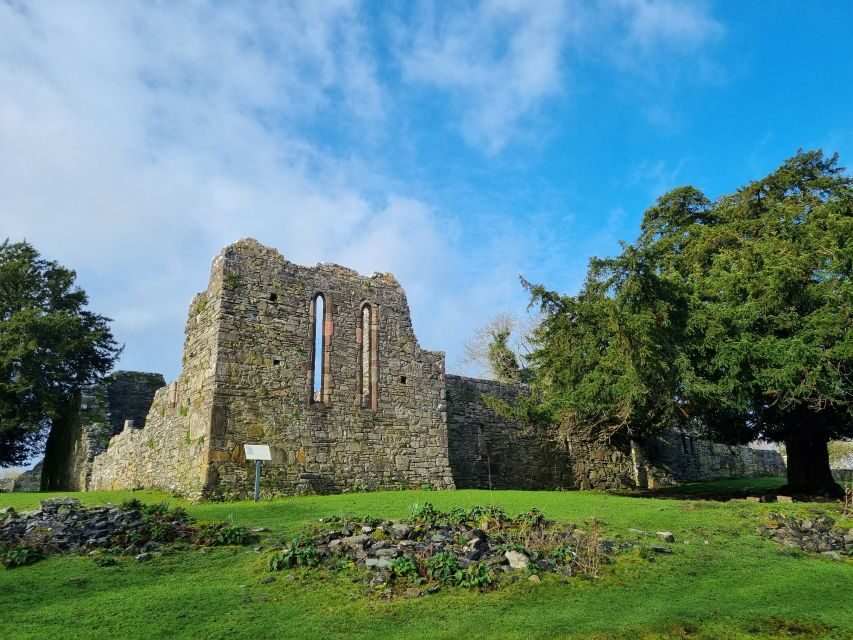Killarney: Guided Boat Tour to Innisfallen Island - Who should book this Innisfallen Island tour