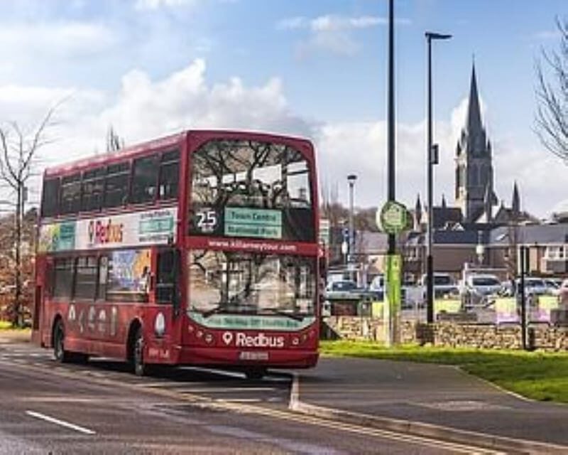 Killarney: Hop-On Hop-Off Bus to Killarney National Park - Ross Castle on Lough Leane: 15th-century walking time by the water