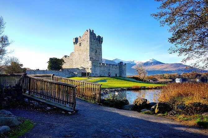 Killarney Jaunting Car & Lily of Killarney Watercoach Tour - Key highlights worth planning around