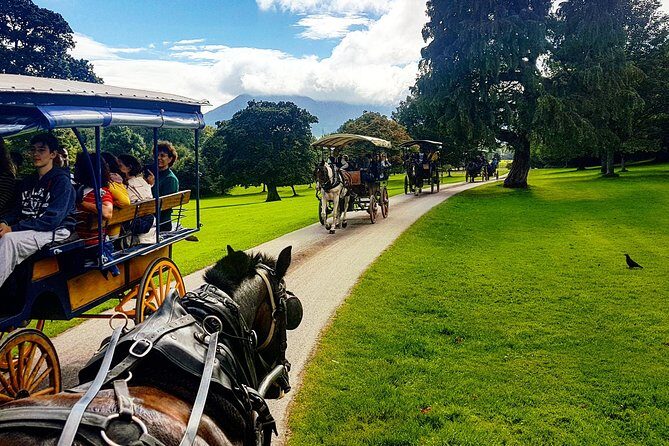 Killarney Jaunting Car & Lily of Killarney Watercoach Tour - Weather reality: the practical part of “good day” touring