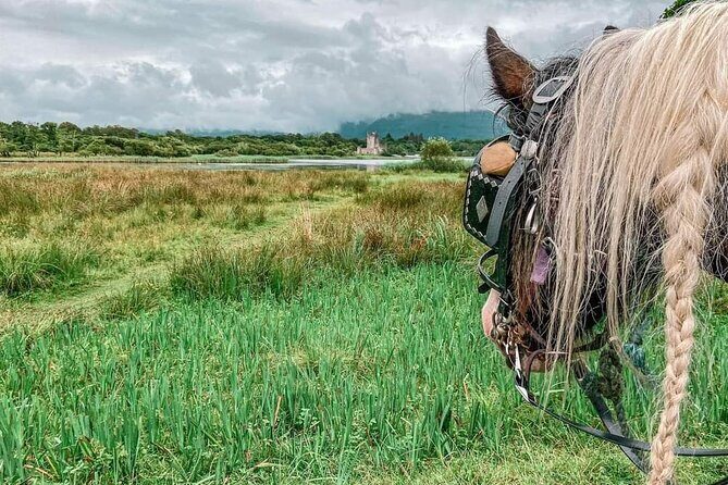 Killarney Jaunting Car Tour - Getting started: Deenagh Lodge to a smooth pickup and regroup