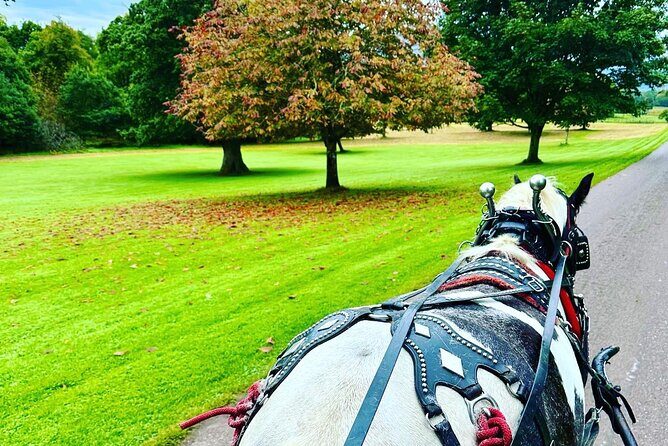 Killarney Jaunting Car Tour - Ross Castle stop: why you get value even if you’re not staying long