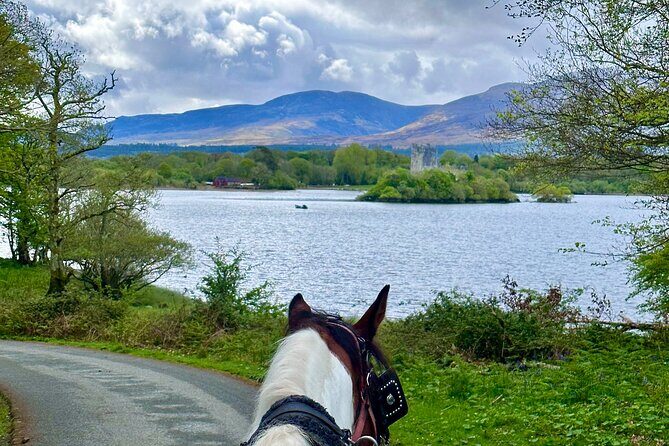 Killarney Jaunting Car Tour - St. Mary’s Cathedral and the Killarney town moment