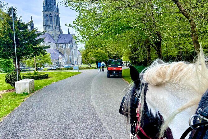 Killarney Jaunting Car Tour - The guide makes the ride: humor, facts, and photo help with names attached