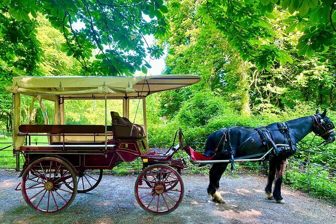 Killarney Jaunting Car Tour - Price and value: what $60.21 buys you in a one-hour experience