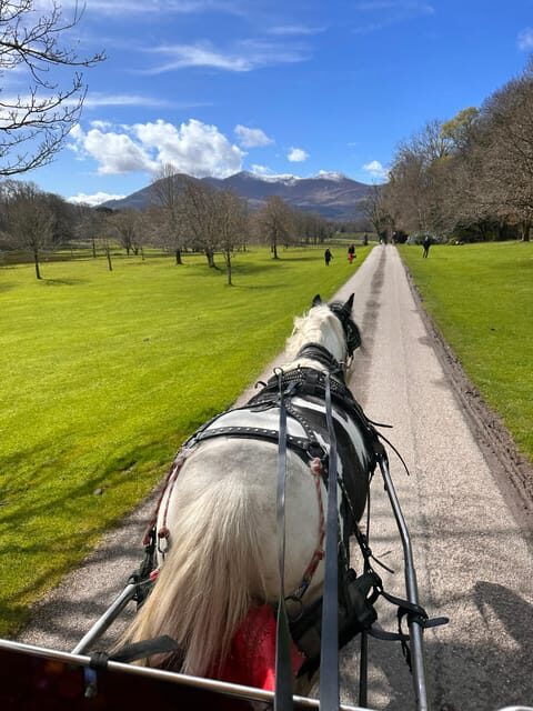 Killarney Jaunting Car Tour - Castle add-on: Ross Castle tours are separate