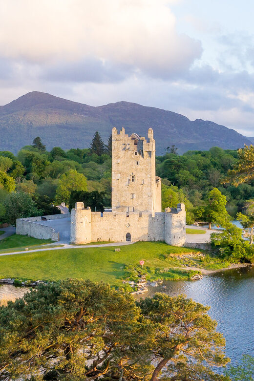 Killarney: Jaunting Car Tour with Afternoon Tea - Oak and Yew Woodland: history you can actually picture