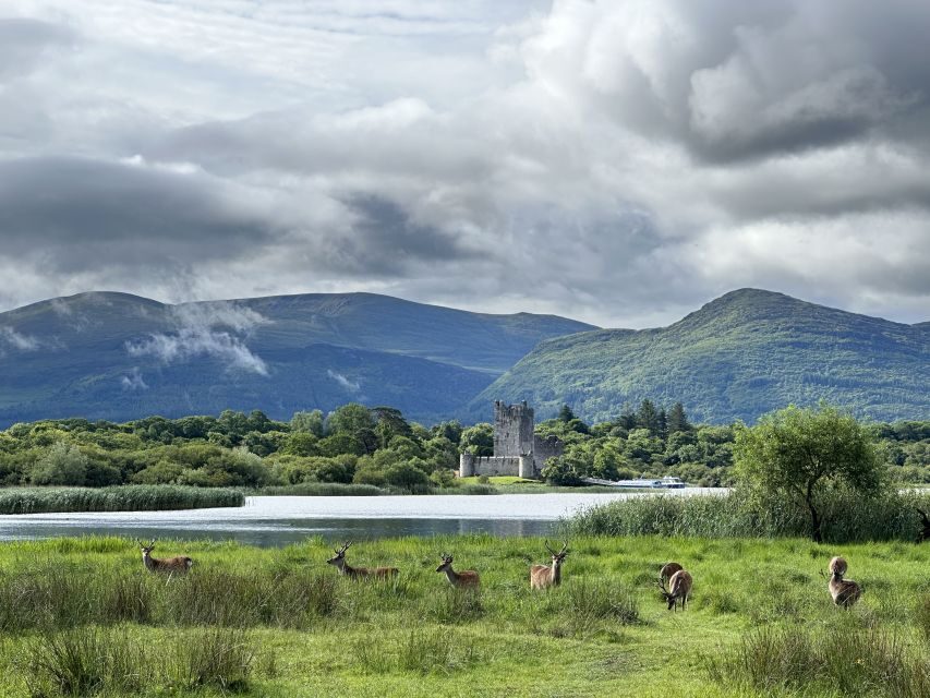 Killarney: Killarney National Park Private Tour - Key highlights to look for on this Killarney carriage ride