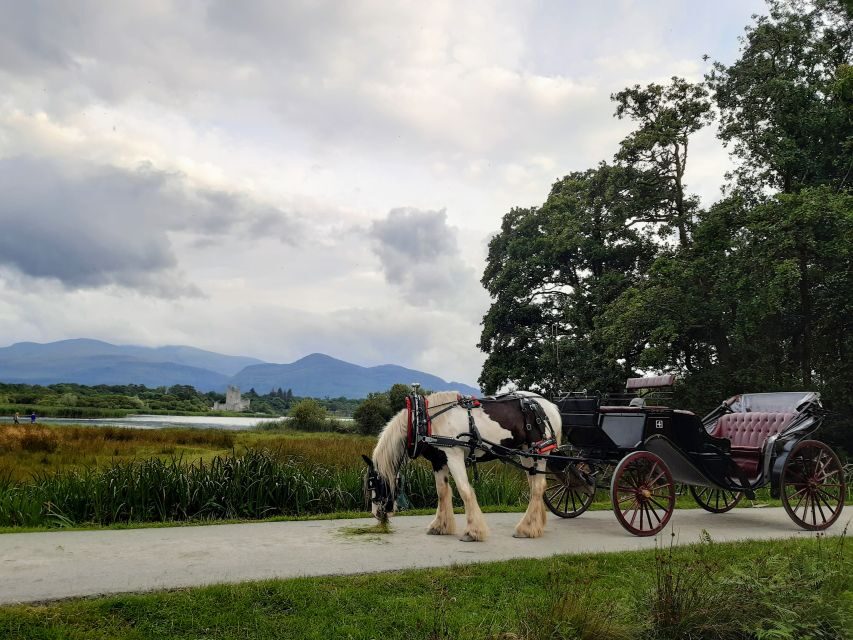 Killarney: Killarney National Park Private Tour - A private jaunting car is a smart way to see Killarney fast