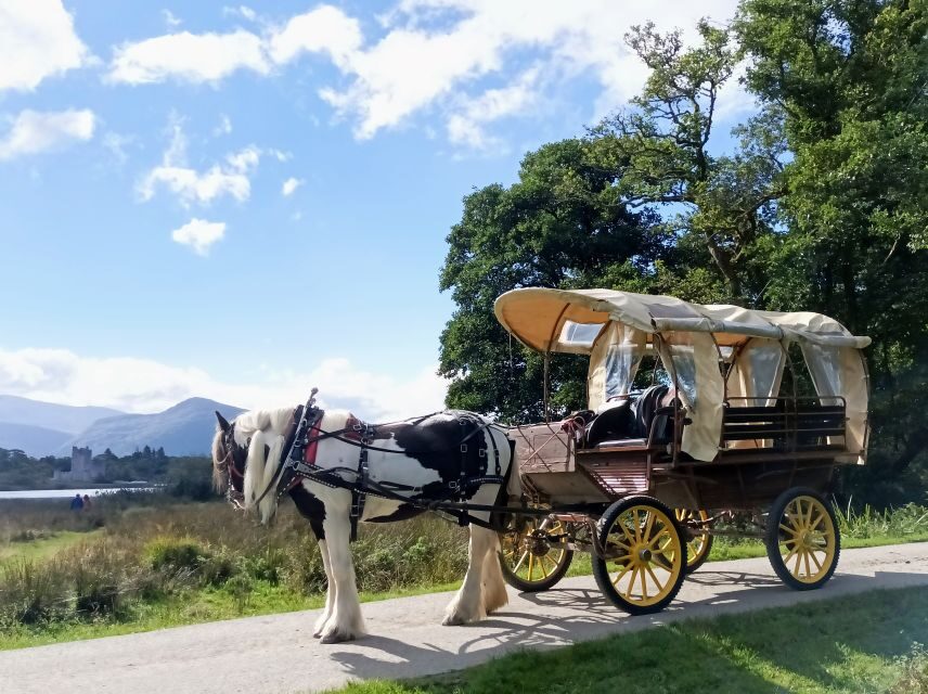 Killarney: Killarney National Park Private Tour - Quick stops that make the tour feel complete: Killarney House and Carrauntoohil