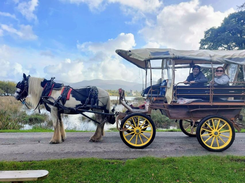 Killarney: Killarney National Park Private Tour - Comfort on a horse carriage: rain cover, pace, and photo chances