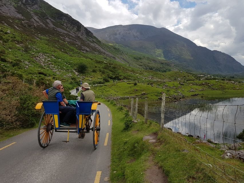 Killarney: Lakes of Killarney Boat Tour with Transfer - Price and value: where the $68 fits in