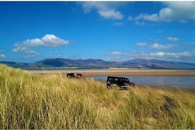 Killarney National Park Horseback Ride. Co Kerry. Guided. 1 hour. - Wildlife moments and the kind of views you can expect