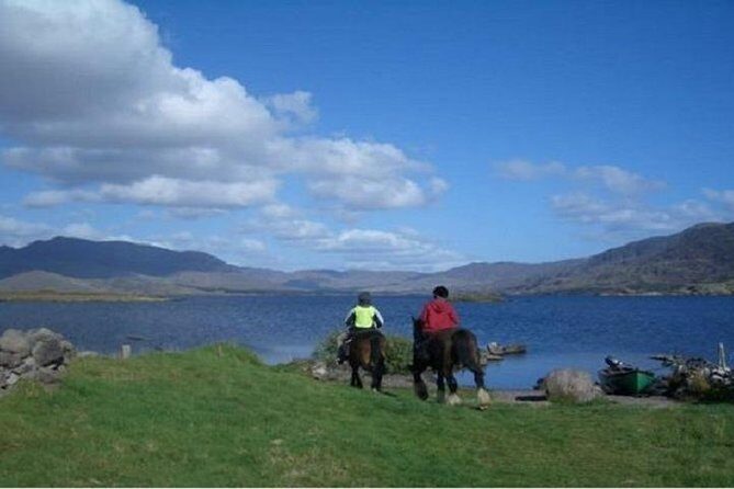 Killarney National Park Horseback Ride. Co Kerry. Guided. 1 hour. - Timing, meeting point, and the importance of arriving early