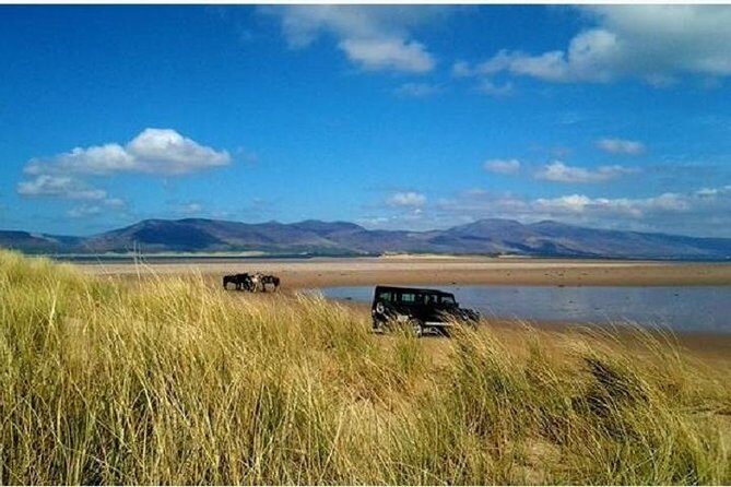 Killarney National Park Horseback Ride. Co Kerry. Guided. 2 hours. - The ride itself: guided trail through Knockreer Estate and beyond