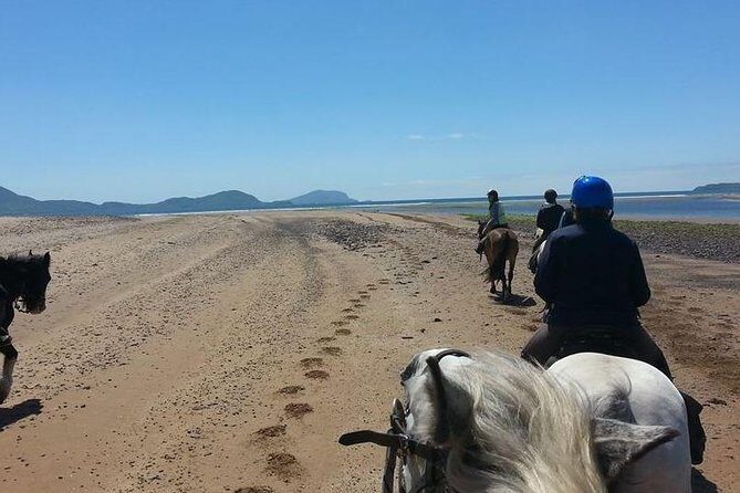 Killarney National Park Horseback Ride. Co Kerry. Guided. 2 hours. - Should you book the Killarney National Park horseback ride?