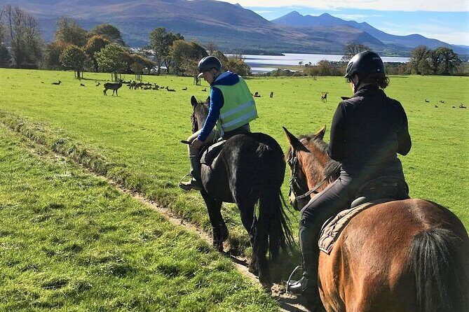 Killarney National Park Horseback Ride. Co Kerry. Guided. 3 hours. - Inside the ride: how the 3 hours typically plays out in the park