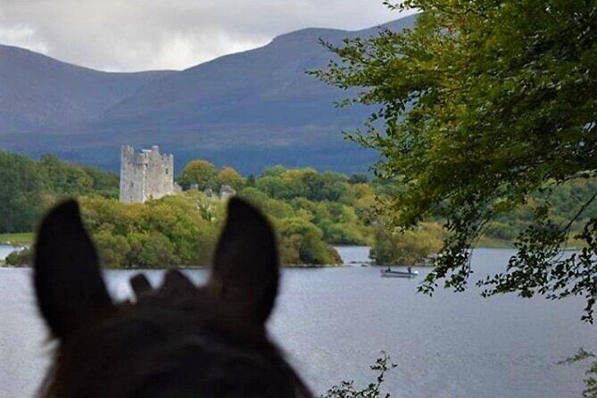 Killarney National Park Horseback Ride. Co Kerry. Guided. 3 hours. - Safety and guidance: why small-group matters more than you’d think