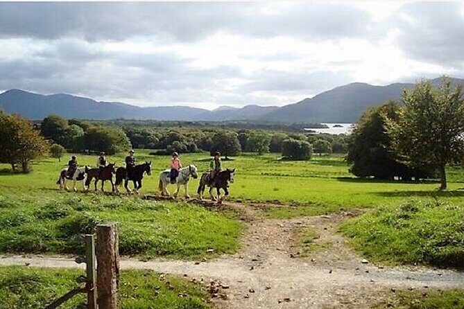 Killarney National Park Horseback Ride. Co Kerry. Guided. 3 hours. - Price and value: does $282.97 make sense for a 3-hour ride?