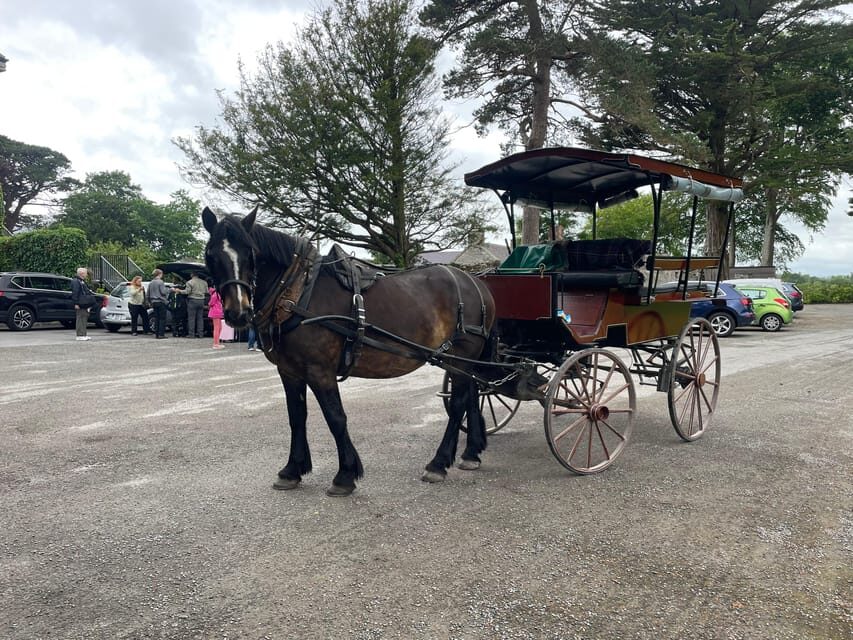 Killarney National Park Jaunting Car Tour - Key highlights you’ll care about