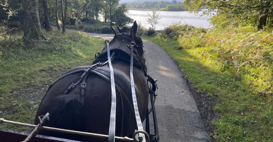 Killarney National Park Jaunting Car Tour - Why a jaunting car tour is the smart way to see Killarney fast