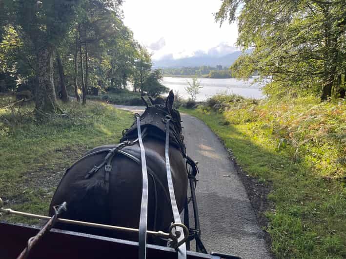 Killarney National Park Jaunting Car Tour - Lough Leane and the lake of learning: panoramic views with a monastic story