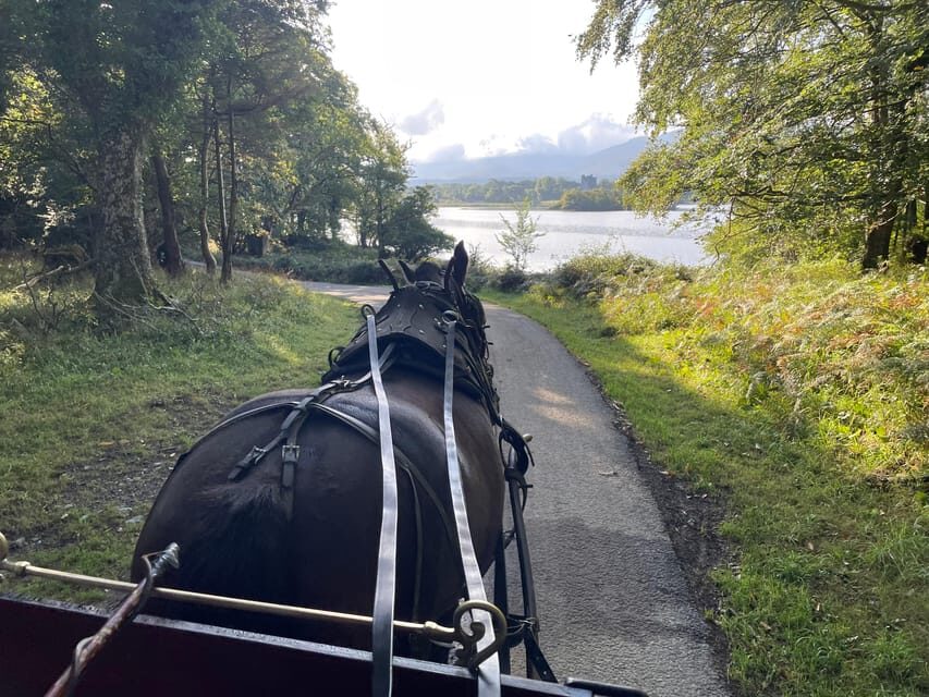 Killarney National Park Jaunting Car Tour - Meeting at Beech Road and settling into the carriage rhythm