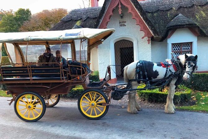 Killarney National Park Tour - Meeting at Deenagh Lodge Tea Cottage: easy start, easy reset