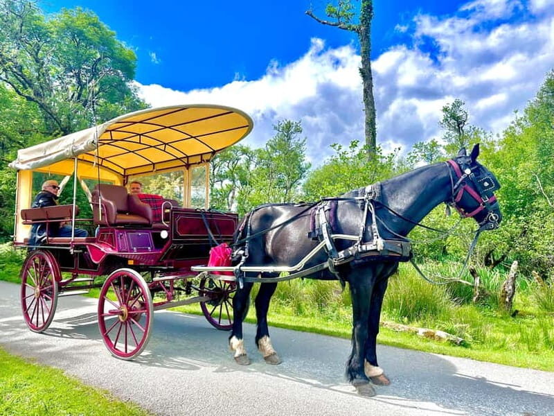 Killarney National Park Tour - McGillicuddy Reeks and Killarney House: pass-by highlights with real payoff