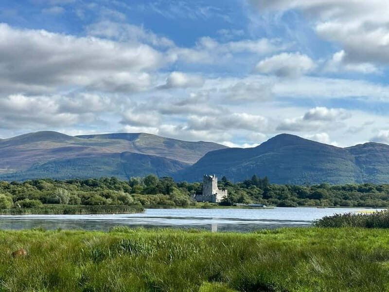 Killarney National Park Tour - Wildlife spotting: what to watch for and how to make it happen