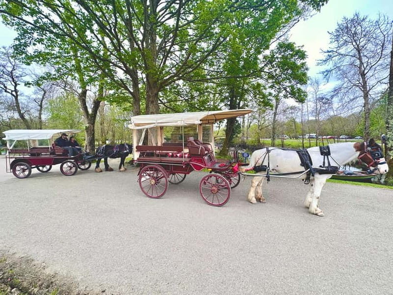 Killarney National Park Tour - Price and value: is $51 per person a fair deal?
