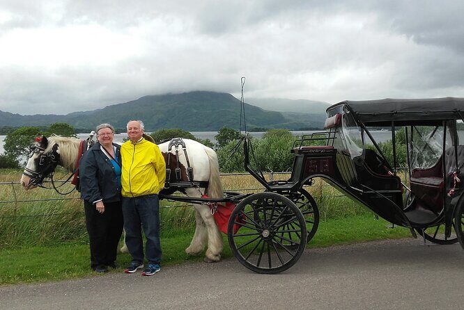 Killarney National Park Tour - The 1-hour carriage loop: what you actually get to see