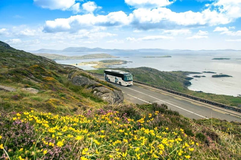 Killarney: Ring of Kerry Bus Tour - Moll’s Gap and Ladies View: the climb that pays off with wide panoramas