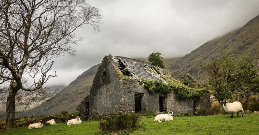 Killarney: The Ring of the Reeks - Backroads Rural Tour - A few things to do before you go (so you get better photos)