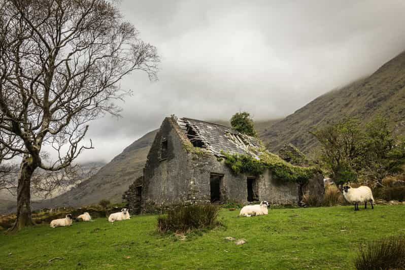 Killarney: The Ring of the Reeks - Backroads Rural Tour - Why this photo-led Ring of the Reeks day beats the usual bus circuit