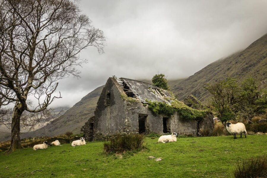 Killarney: The Ring of the Reeks - Backroads Rural Tour - What you’re really buying: photography coaching that happens while you travel