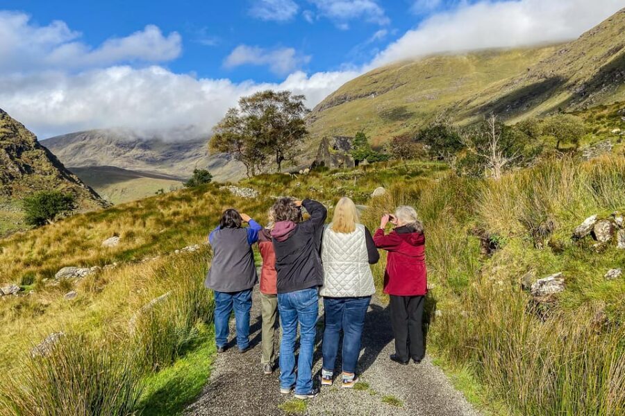 Killarney: The Ring of the Reeks - Backroads Rural Tour - Photo stops without punishing walking: how the tour stays doable