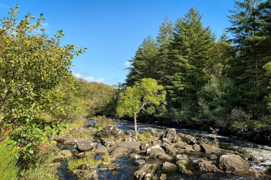 Killarney: The Ring of the Reeks - Backroads Rural Tour - Pickup options and flexible start points