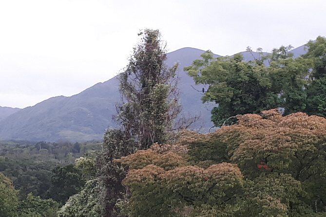 Killarney Valley & National Park - Private Tour - St. Mary’s Cathedral and Aghadoe: where views meet layered Irish time