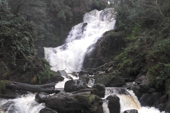 Killarney Valley & National Park - Private Tour - Ladies’ View: Queen Victoria’s name, and views that travel well