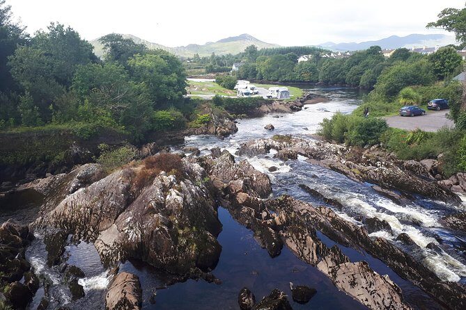 Killarney Valley & National Park - Private Tour - Killarney National Park in about an hour: UNESCO, deer, and native forest