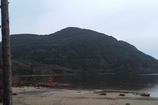 Killarney Valley & National Park - Private Tour - What pacing and guide style feel like on the ground