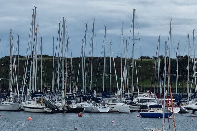 Kinsale and West Cork Classic Private Tour in modern a/c minibus - Drombeg Stone Circle and Old Head: ancient stones, then big clifftop drama