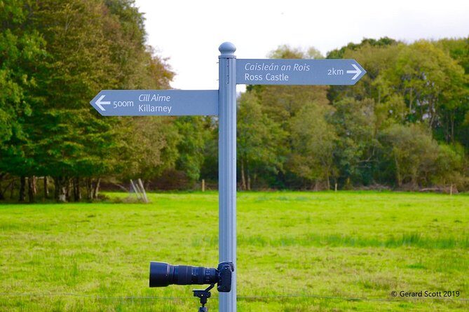 Luxury Photography Day Tour on Dingle Peninsula - Fully Guided and Chauffeured - 9:30 pickup in Killarney and how the mini-van changes your timing